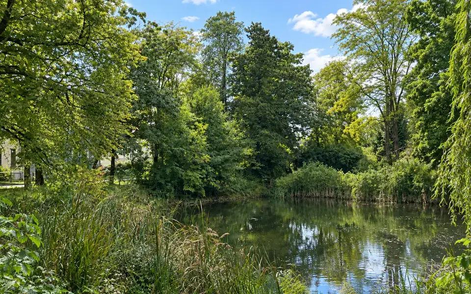 Teich am Dorfanger Bohnsdorf