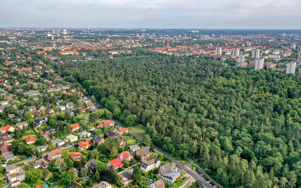 Luftbild Falkenhagener Feld mit Spandauer Forst