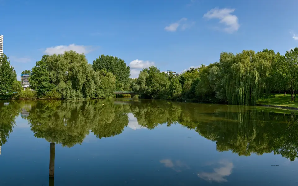 Teich im Fennpfuhlpark